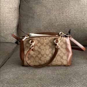 Coach Large Sage Handbag